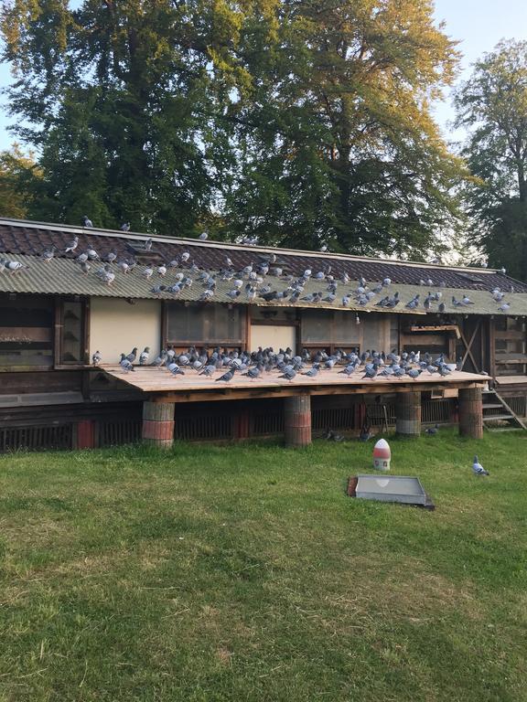 Hotel-Restaurant Johanniskreuz Trippstadt Zewnętrze zdjęcie